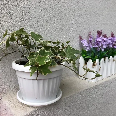 Διαμέρισμα Dea Del Salento Λέτσε