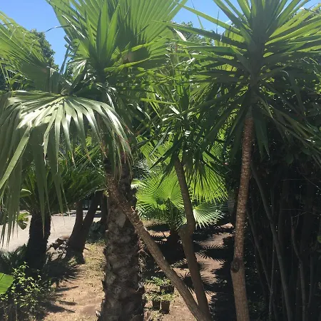 Dea Del Salento Appartement Lecce