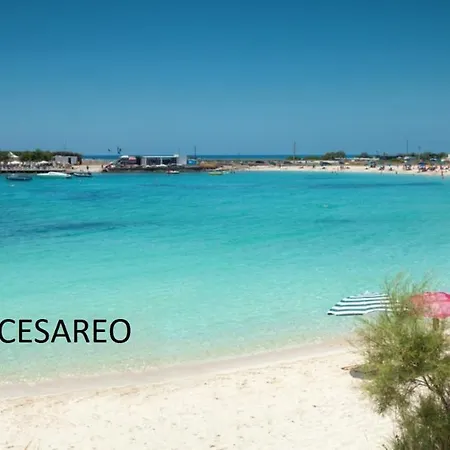 Dea Del Salento