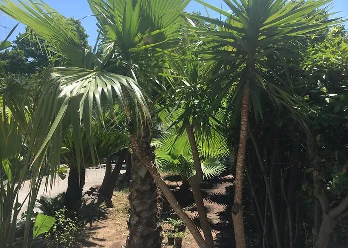 Dea Del Salento Apartament Lecce